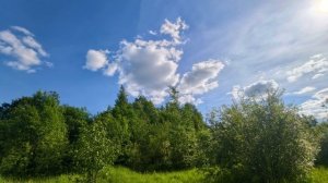 Спокойная музыка без слов для души. Фоновая музыка без слов. Спокойная музыка для фона