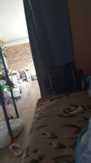 Тимофей
