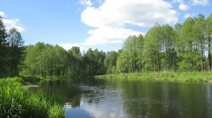 🌺Красивая природа🌺Малые реки России🌺