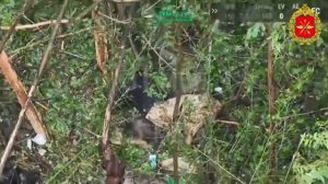 Уничтожение позиций ВСУ в районе Красного Лимана