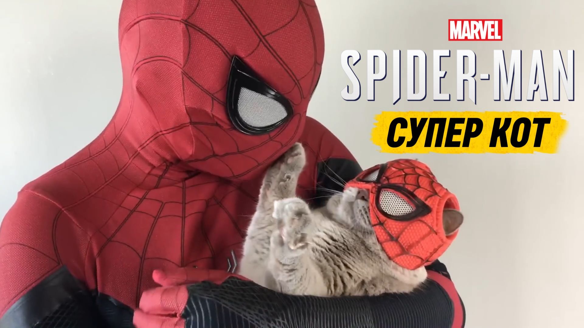 ЧЕЛОВЕК ПАУК - СУПЕР КОТ ПАУК | SPIDER MAN MARVEL смотреть онлайн