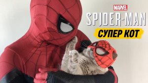 ЧЕЛОВЕК ПАУК - СУПЕР КОТ ПАУК | SPIDER MAN MARVEL
