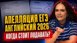 Апелляция ЕГЭ по английскому 2026: когда стоит подавать, а когда нет | Умскул
