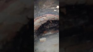 Русская печь - теплушка в заброшенном доме
