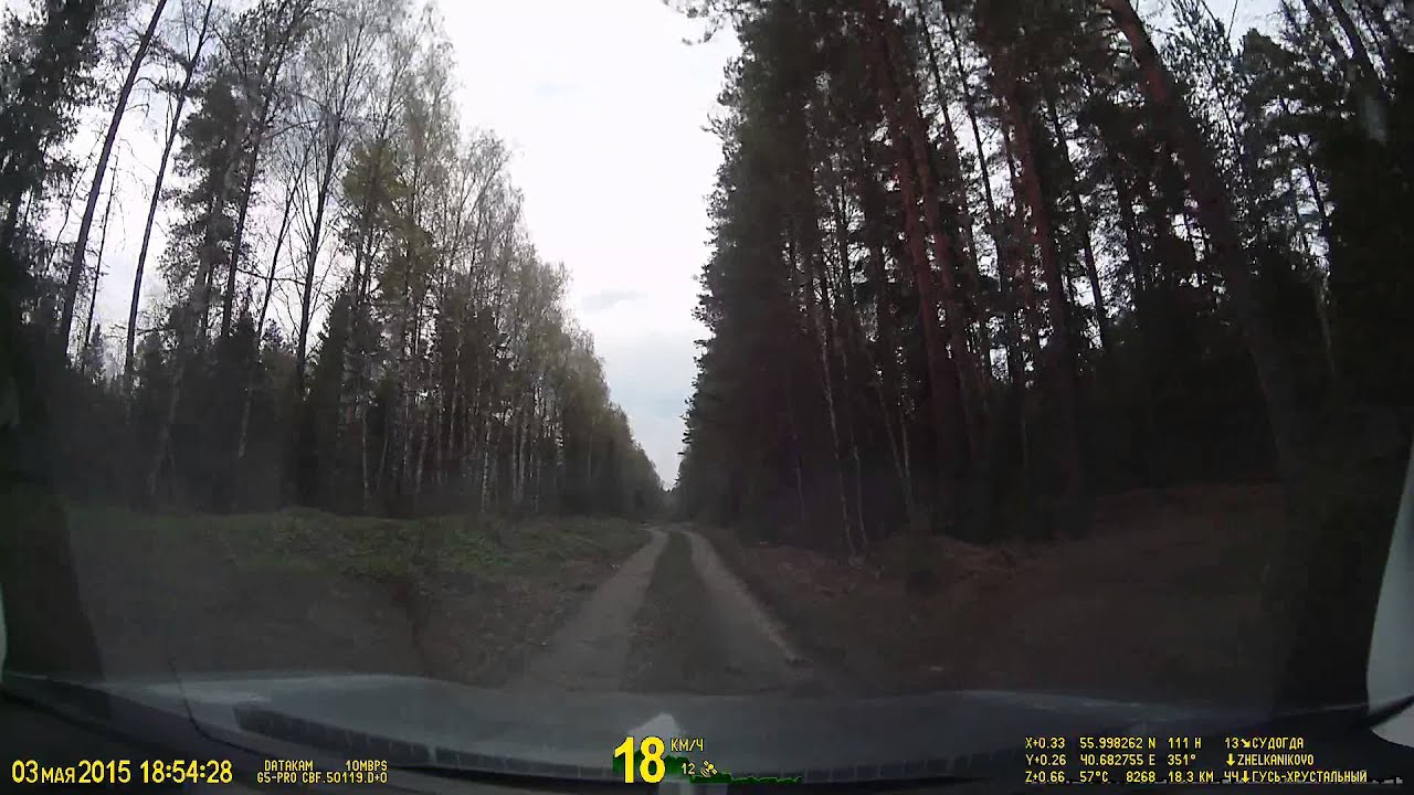 Datakam G5 City Pro-Bf - тестовое видео (лес под Владимиром) смотреть онлайн