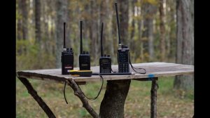 Так что же эффективней для леса? Егерь, TTI, Yaesu, Radtel. Диапазоны 27 и 145 МГц.