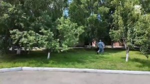 Оперативные сводки - 09