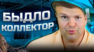 Быдло коллектор позвонил должнику банка. Банкротство физических лиц последствия 2025