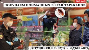 ПОКУПАЕМ ТАРАКАНОВ, ПОЙМАННЫХ В SPAR / МЕНТ НЕ ХОЧЕТ СЛУЖИТЬ / ПОЛИЦИЯ БЫКУЕТ И БРОСАЕТ ТРУБКУ, SPAR