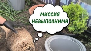 МАЛЕНЬКАЯ ПЕРЕСАДКА БОЛЬШОЙ НОЛИНЫ. 27-06-2026