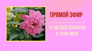 Анонс эфира 27.06.2026