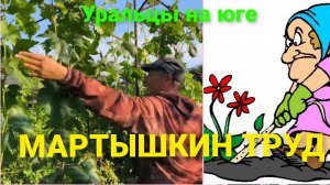 Во саду ли в огороде .Мартышкин труд.