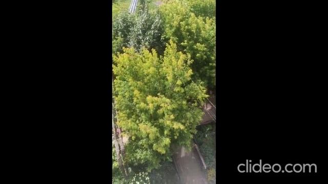 Вячеслав Гаранин/ Андрей хотел сжечь вещи/ забрала скорая смотреть онлайн