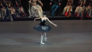 Балет Лебединое озеро (Ю. Григорович). ч.4. Бал. Одиллия-Юлия Степанова, Зигфрид-Артем Овчаренко