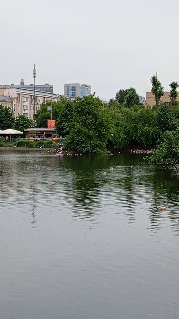 VID_20250622_145830