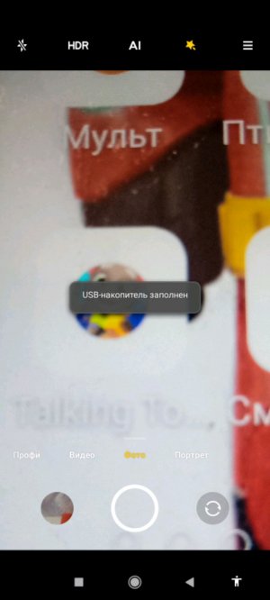 я _ которые вы мне прислалитом