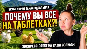 КАК ВЫЖИВАЕТ РУССКОЯЗЫЧНАЯ ЖЕНА В ЮЖНОЙ КОРЕЕ: Эмоционально отвечаю на провокационные вопросы))