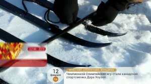 Сани из 4 туристических лыж