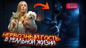 НЕРВОЗНЫЙ ГОСТЬ В РЕАЛЬНОЙ ЖИЗНИ | 24 ЧАСА НА КРОВАТИ С КОТАМИ | НЕ ЗЛИ СОСЕДА