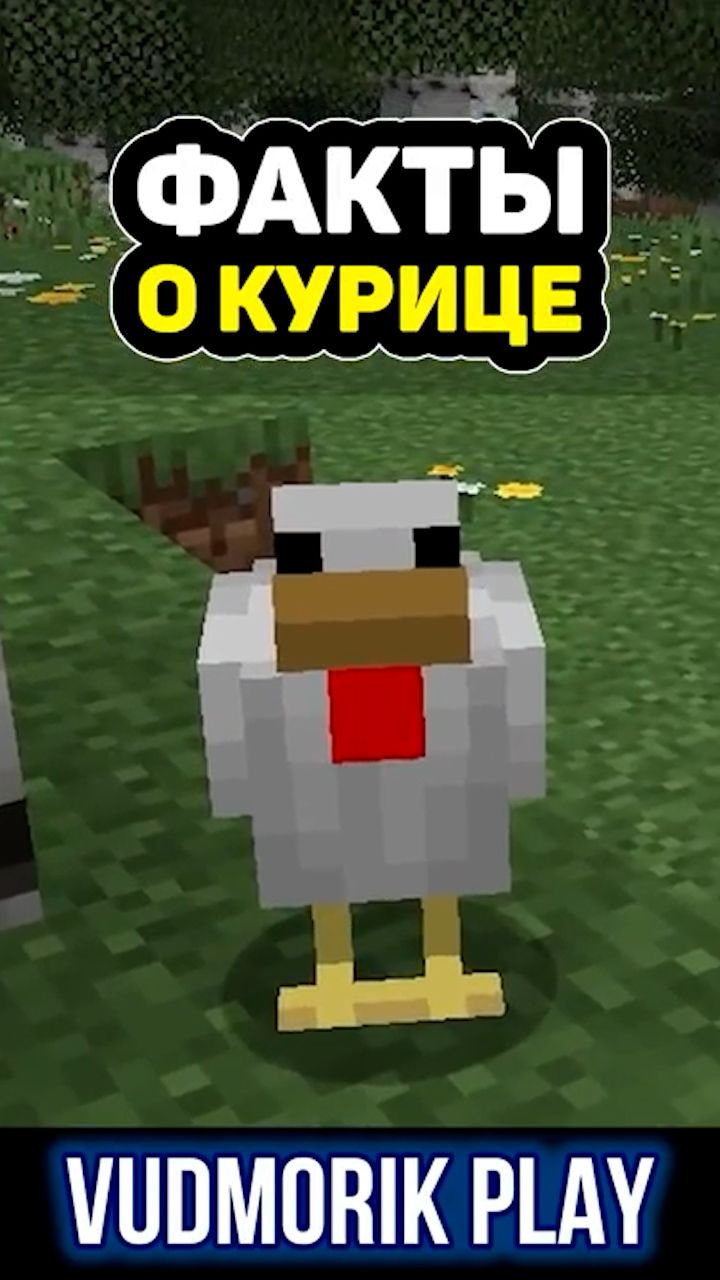 Что скрывает курица в Minecraft? #13