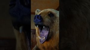 Оздоровительный комплекс  «Ахты»