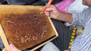 Процесс разведения МАТОК 🐝. НАКОСИЛИ 🌿 ЧУДЕСА с погодой.