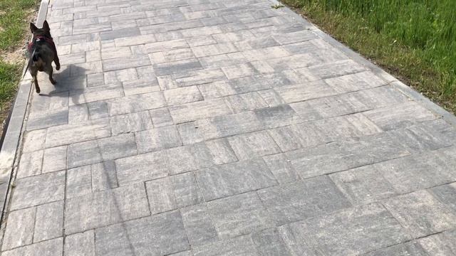 Прогулка по набережной