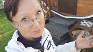 Видео привет с 6 соток 25 июня 2026 года