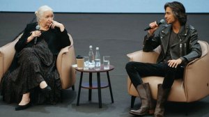 «Самое ценное состояние мозга для творчества». Татьяна Черниговская