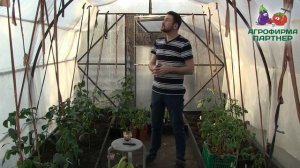 УСТРОЙСТВО НЕБОЛЬШОЙ И УДОБНОЙ ТЕПЛИЦЫ