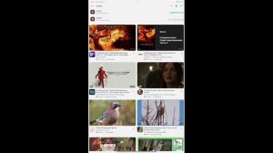 даю оценку RuTube каналу Влад аллигатор