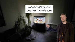 Озолотили аквариум, добавили seachem matrix и самодельный диффузор