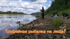 Рыбалка на Вятке. Ловля трофейного леща на современную донку. Вдвоем на реке. #94
