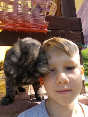футбол
