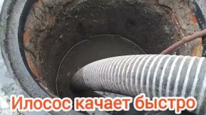 Чистка септика от начала до конца. Откачка септика Илососом. Востоновление дренажа.