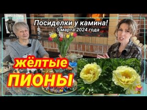 Посиделки у камина. Часть 20. Об оттенках пионов от желтых родителей! / Сад Ворошиловой