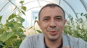 Как улучшить землю на огороде