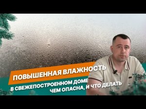 Чем опасна повышенная влажность в доме?