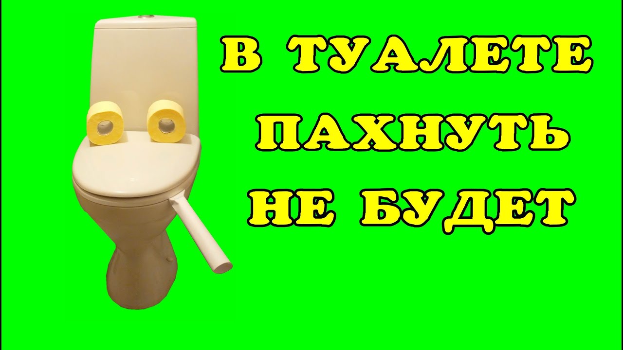 В туалете пахнуть не будет! смотреть онлайн