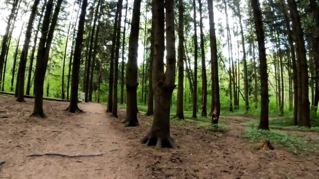27.05 прогулка с SergeTV Life смотреть онлайн