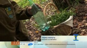 Самодельный  компас