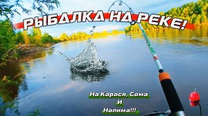 Летняя Рыбалка на Донки и Поплавок!