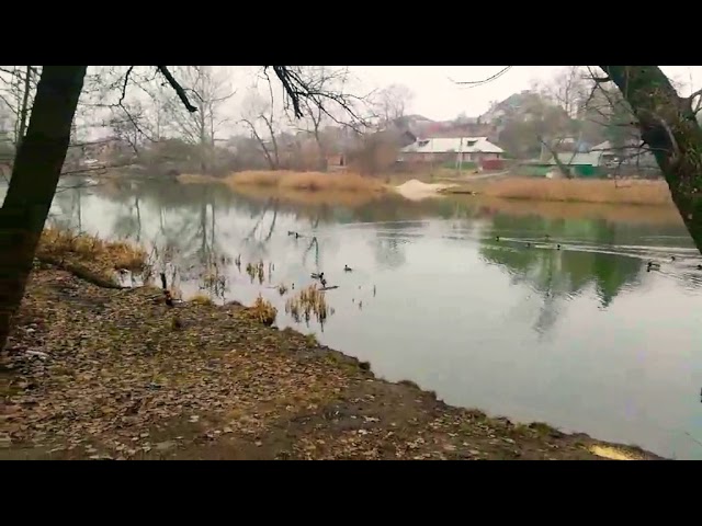 Я к воде теперь пойду, кто там плавает в пруду, вы за мной плывет, лапками под водой гребете! смотреть онлайн
