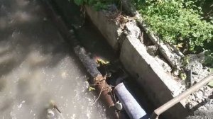Работа водяного насоса Гидротаран Рогозина ГТ-150 в кафе для орошения.