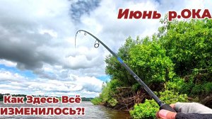 Почти ОДИН- Тишина и Ветер! Рыбалка на Оке на Спиннинг 2026! Ловля на Джиг!