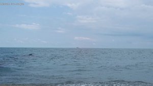С пляжа у ЖД вокзала наблюдаем как летит «Комета» из Сочи в Адлер, конец июня  2026 года.