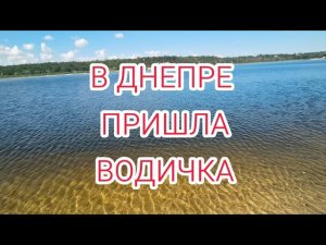 ПОЧЕМУ-ТО В ЗАПОРОЖЬЕ ПРИШЛА ВОДА В РЕКЕ ДНЕПР 26.06.2026