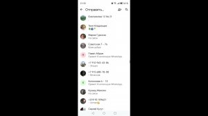 Приложение IMO для аудио и видео звонков