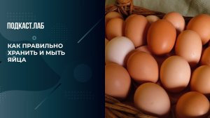 «Яйца перед холодильником не моем!» Как избежать сальмонеллеза.