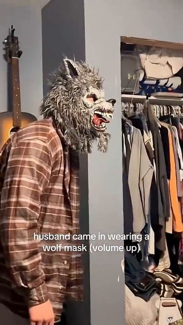 Cats getting pranks…😂